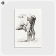 1-70_Jean-Bernard_postcard