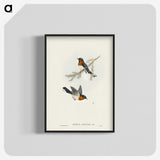 1-70_John-Gould_blk-crop