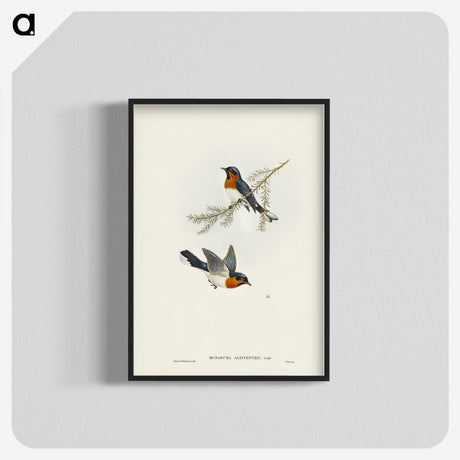 1-70_John-Gould_blk-crop