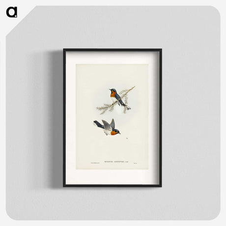 1-70_John-Gould_blk