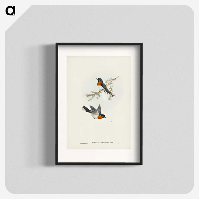 1-70_John-Gould_blk
