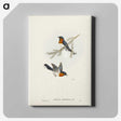 1-70_John-Gould_canvas