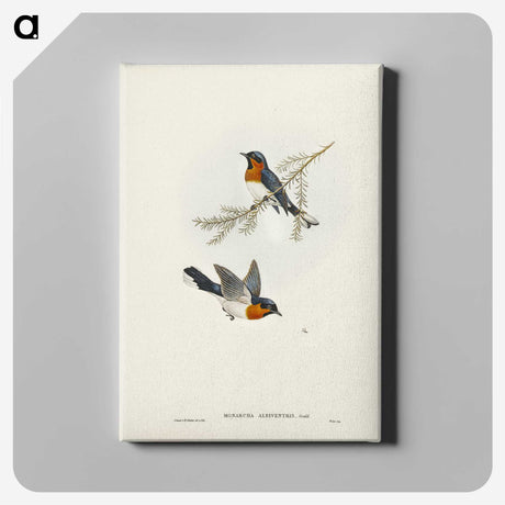 1-70_John-Gould_canvas