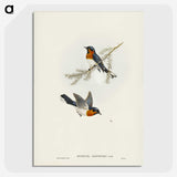 1-70_John-Gould_picture-crop