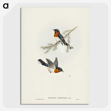 1-70_John-Gould_picture-crop