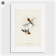 1-70_John-Gould_picture
