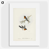 1-70_John-Gould_picture