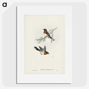 1-70_John-Gould_picture