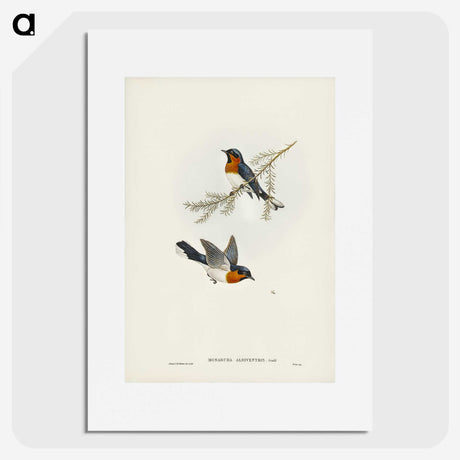 1-70_John-Gould_picture