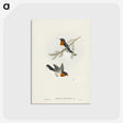 1-70_John-Gould_postcard