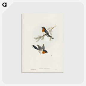 1-70_John-Gould_postcard