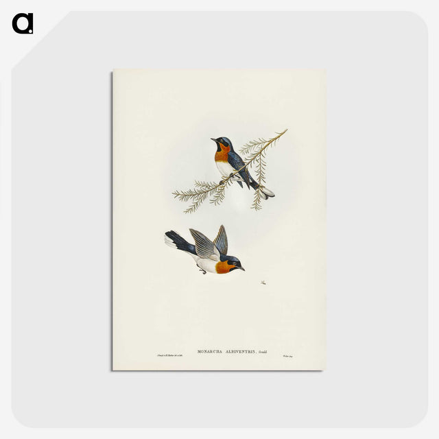 1-70_John-Gould_postcard