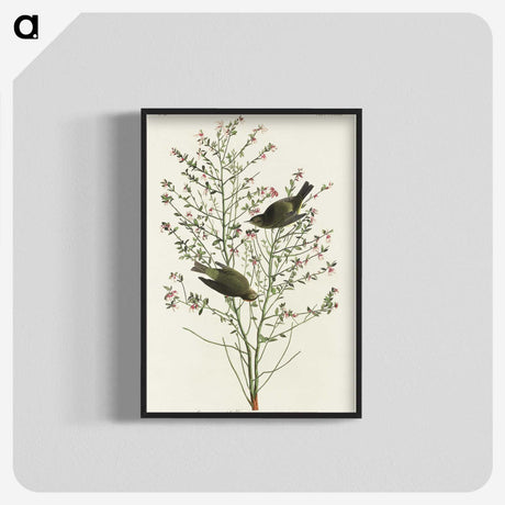 1-70_John-James-Audubon_blk-crop