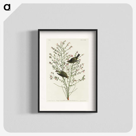 1-70_John-James-Audubon_blk