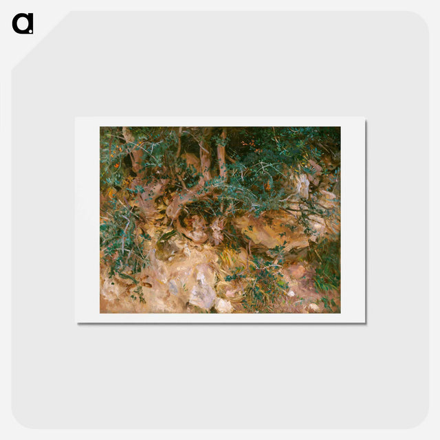アートポストカード-Valdemosa, Majorca: Thistles and Herbage on a Hillside - ジョン シンガー サージェント Postcard.