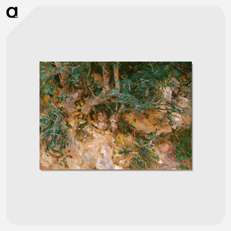 アートポストカード-Valdemosa, Majorca: Thistles and Herbage on a Hillside - ジョン シンガー サージェント Postcard.