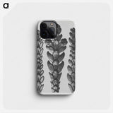 Ends of Thujopsis Dolabrata Branch (Hatchet–Leaved Arbor Vitae) enlarged 10 times - Karl Blossfeldt Phone Case.