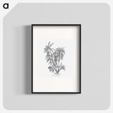 1-70_Les-Palmiers-Histoire-Iconographique_blk