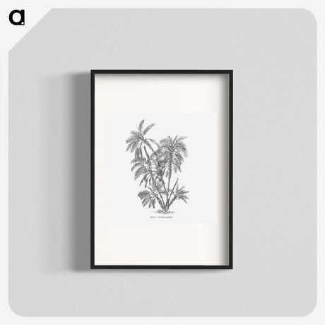 1-70_Les-Palmiers-Histoire-Iconographique_blk