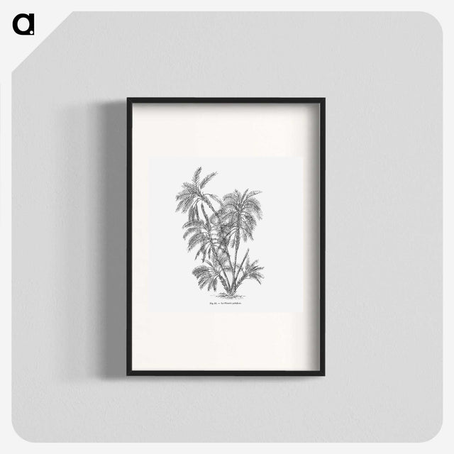 1-70_Les-Palmiers-Histoire-Iconographique_blk