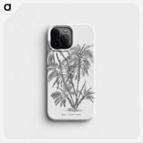 1-70_Les-Palmiers-Histoire-Iconographique_phone