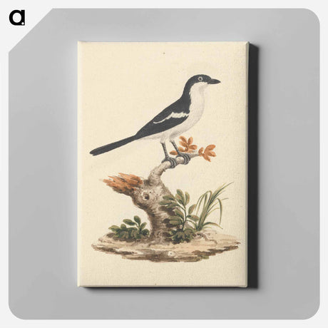 アートパネル-Common Fiscal
 - ルイージ バルガーニ Canvas.