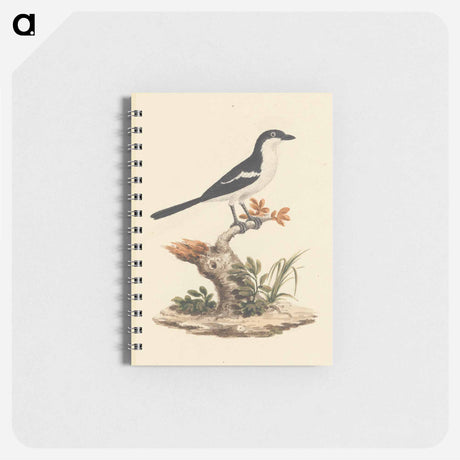 アートメモ帳-Common Fiscal
 - ルイージ バルガーニ Memo.