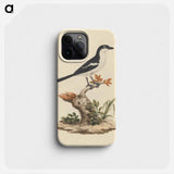 Common Fiscal
 - ルイージ バルガーニ Phone Case.