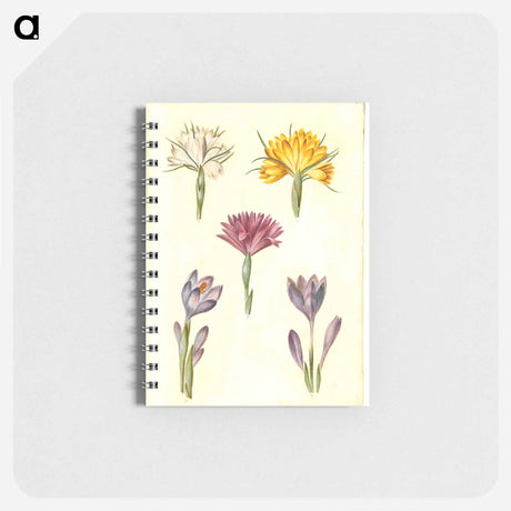 アートメモ帳-Crocus and Spring Light Flower
 - マリア ジビーラ メーリアン Memo.