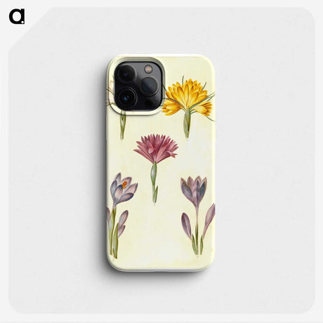 1-70_Maria-Sibylla-Merian_phone