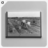 1-70_Marion-Post-Wolcott_canvas