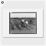 1-70_Marion-Post-Wolcott_picture