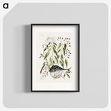 1-70_Mark-Catesby_blk