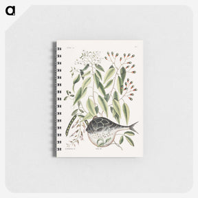 1-70_Mark-Catesby_memo