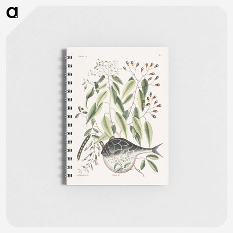 1-70_Mark-Catesby_memo