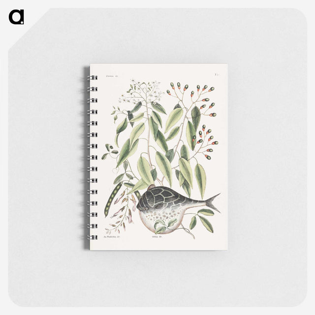 1-70_Mark-Catesby_memo