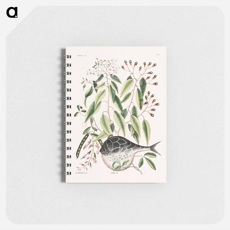 アートメモ帳-Globe Fish
 - マーク ケイツビー Memo.