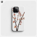 1-70_Mary-Vaux-Walcott_phone