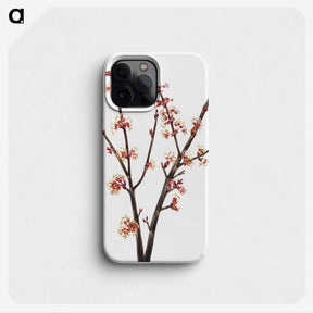 1-70_Mary-Vaux-Walcott_phone