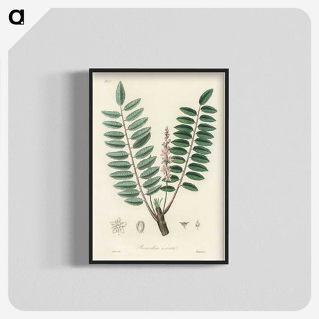 1-70_Medical-Botany_blk-crop