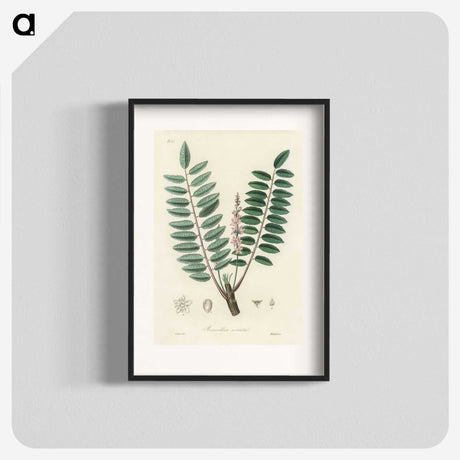 1-70_Medical-Botany_blk