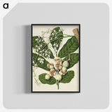 1-70_Native-Flowering-Plants-of-New-Zealand_blk-crop