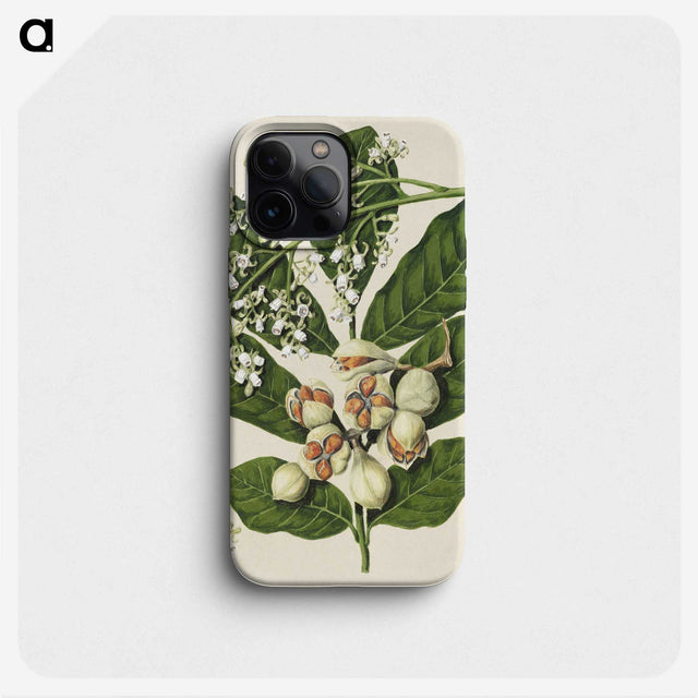 1-70_Native-Flowering-Plants-of-New-Zealand_phone