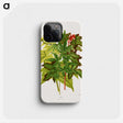 1-70_Nederlandsche-Flora-en-Pomona_phone