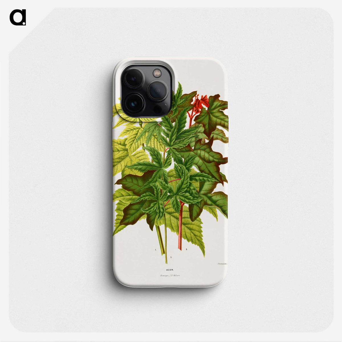 1-70_Nederlandsche-Flora-en-Pomona_phone