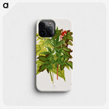 1-70_Nederlandsche-Flora-en-Pomona_phone