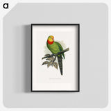 1-70_Parrots-in-Captivity_blk