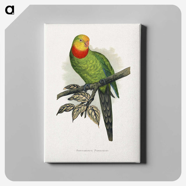 1-70_Parrots-in-Captivity_canvas