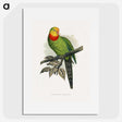 1-70_Parrots-in-Captivity_picture