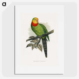 1-70_Parrots-in-Captivity_picture